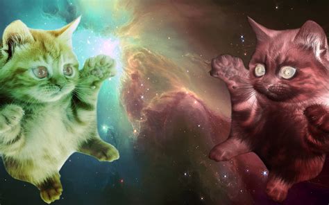 Cats In Space Laser