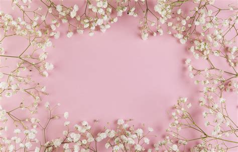 Pink Floral Wallpaper Background