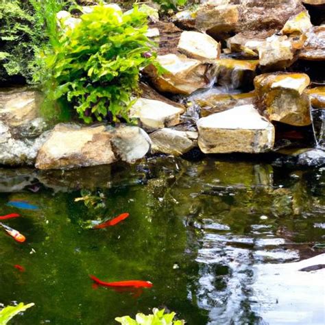 Freshwater Pond Fish: Creating Your Aquatic Haven