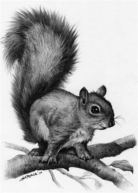 50+ Easy Pencil Drawings of Animals That Look So Realistic