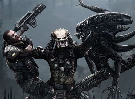 ALIENS VS PREDATOR - Press Play Media