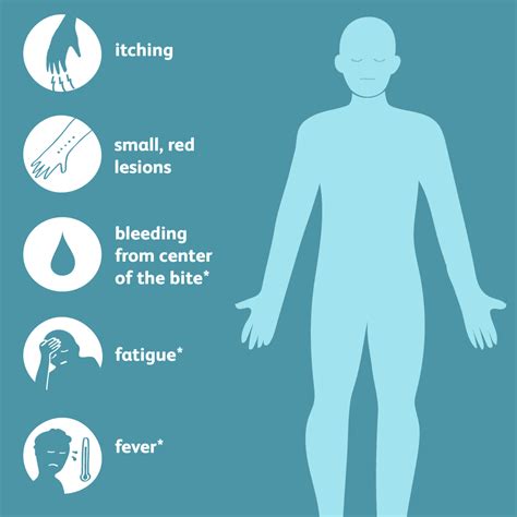 24 Hour Bug Symptoms 2024 - Nelie Joceline