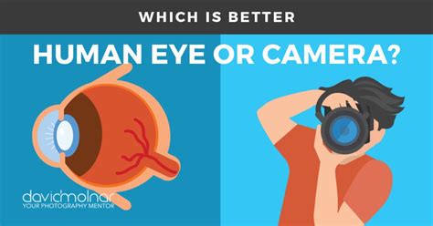 Which is Better: Human Eye or Camera? – David Molnar – Your Photography Mentor