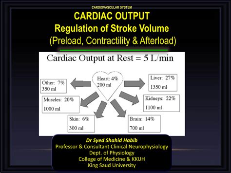 CARDIAC OUTPUT Regulation of Stroke Volume (Preload, Contractility & Afterload) - DocsLib