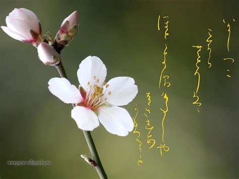 Japanese calligraphy desktop wallpapers Seasons