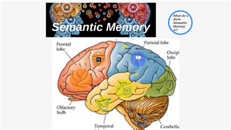 Semantic Memory by Mohnish Mulgi on Prezi