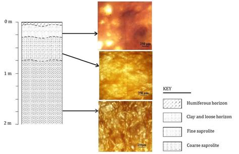 Macroscopic and microscopic organization of soil profile in Secande... | Download Scientific Diagram