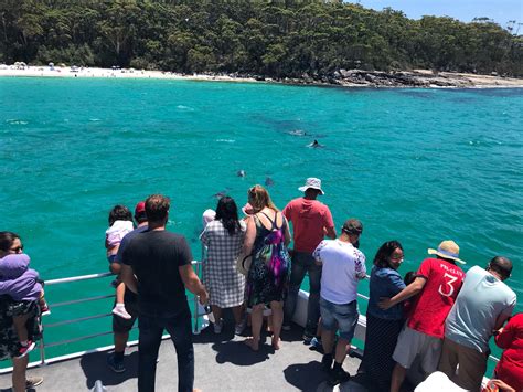 Jervis Bay Whale Watching | Wheeleasy