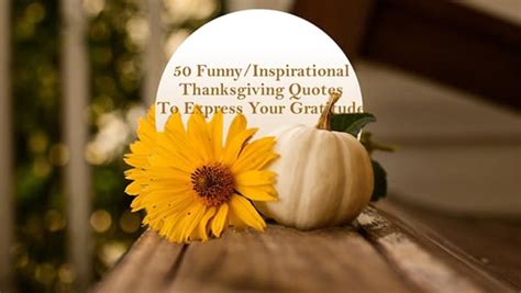 50 Thanksgiving Quotes for Friends and Family in 2024