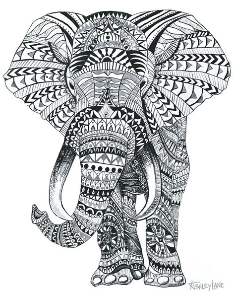 Elephant Tribal Pattern