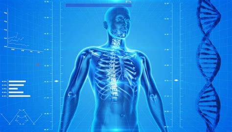 Diaphragm Pacing Therapy System Market Trends and Growth Opportunities Analysis - TechBullion