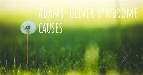 Which are the causes of Adams-Oliver syndrome?