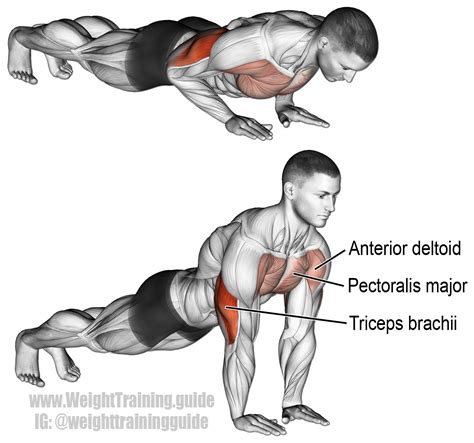 Close-grip push-up exercise instructions and videos | WeightTraining.guide