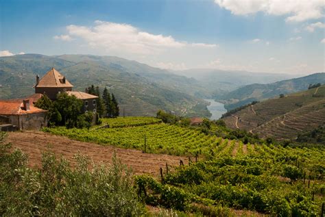 VINEYARDS & WINERY FOR SALE DOURO PORTO WINE-GROWING PORTUGAL | Douro Superior Porto, Cima Corgo ...