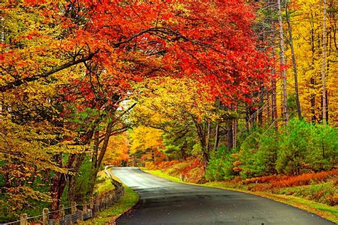 The ultimate New England fall foliage road trip – Lonely Planet