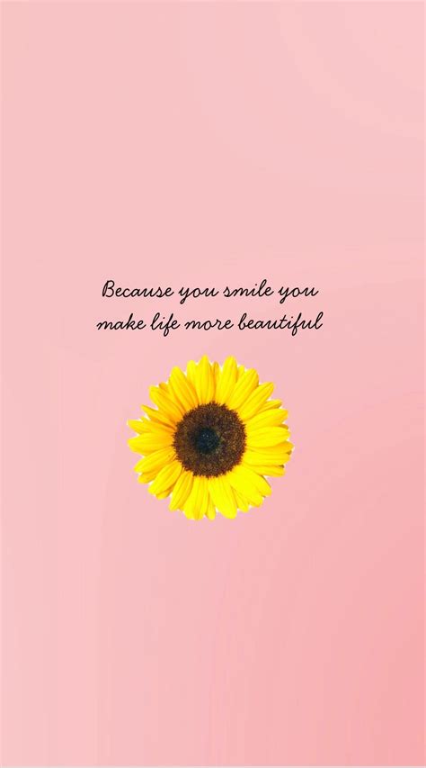 Sunflower Quotes Wallpapers - Top Free Sunflower Quotes Backgrounds - WallpaperAccess