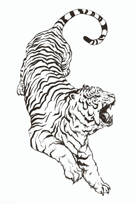 Clipart Torso Tiger