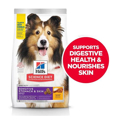 7 Best Dog Food For Sensitive Stomach: Get Some Reviews Here