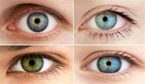 All About The Human Eye Color Chart