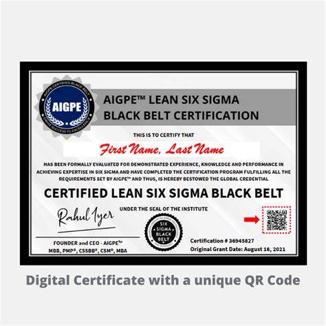 Six Sigma Black Belt - AIGPE