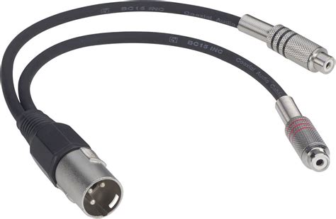 Paccs XLR Adapter cable [1x XLR plug - 2x RCA socket (phono)] 0.60 m Black | Conrad.com