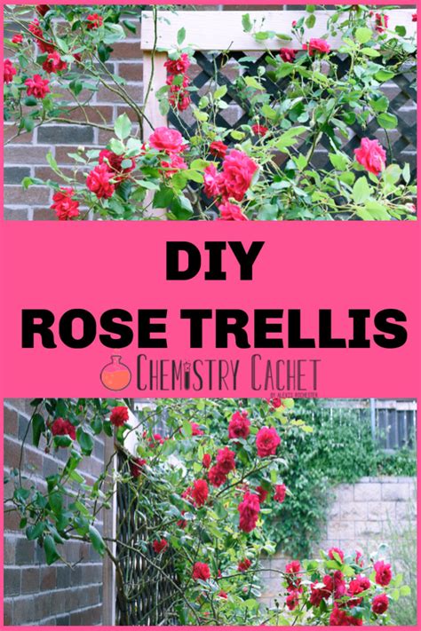 Easy DIY Rose Trellis (Only A Few Supplies Needed)!!