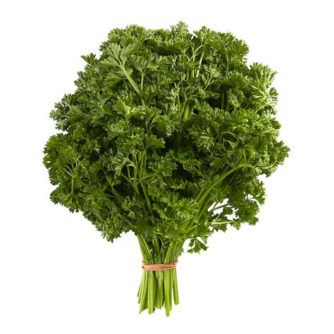 Curly Parsley - Fresh Greens