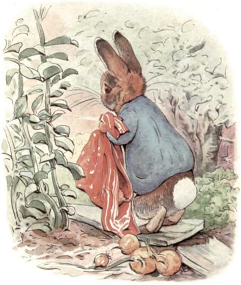 Short Fiction - The Tale of Benjamin Bunny