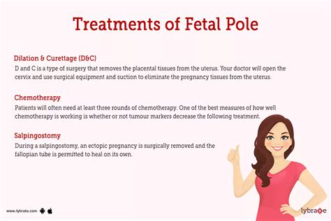 Fetal Pole (Human Anatomy): Image, Functions, Diseases and Treatments