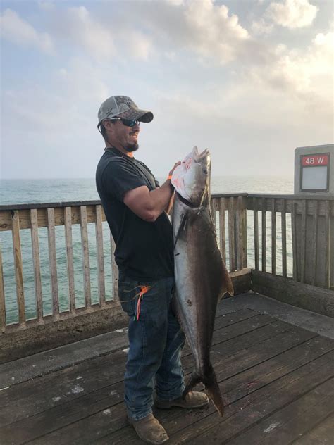 First Cobia - Pensacola Beach Fishing Pier | Pensacola Fishing Forum