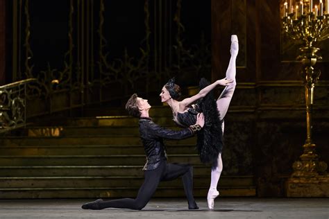 Vadim Muntagirov as Prince Siegfried and Marianela Nuñez as Odile in Swan Lake, The Royal Ballet ...