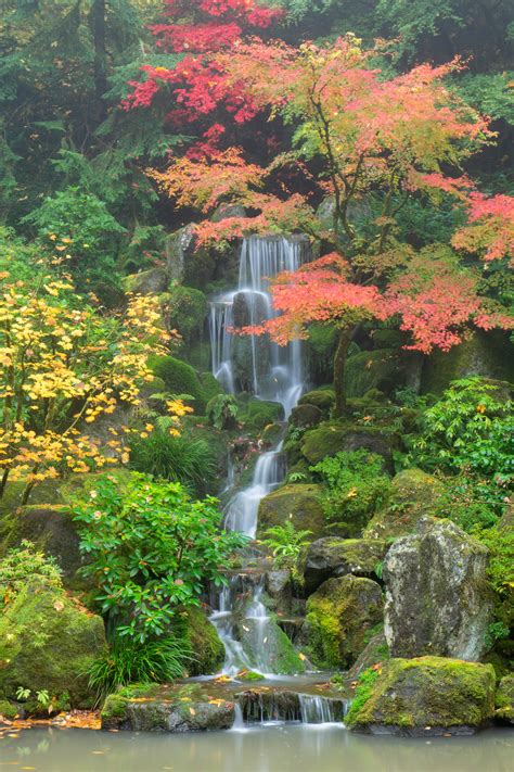 Portland Japanese Garden Autumn Waterfall | Portland Japanese Garden, Portland, Oregon | Craig ...