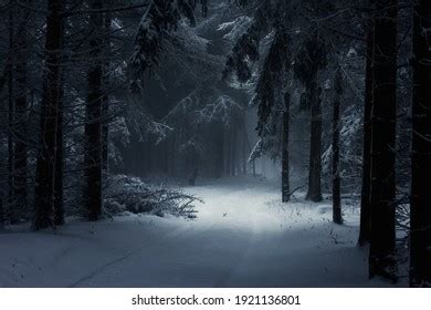 105,651 Snowy Forest Woods Background Images, Stock Photos, 3D objects, & Vectors | Shutterstock