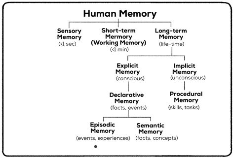 Semantic Memory (Definition + Examples + Pics) - Practical Psychology