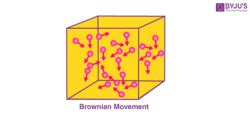 Brownian Motion - Definition, Causes & Effects of Brownian Movement