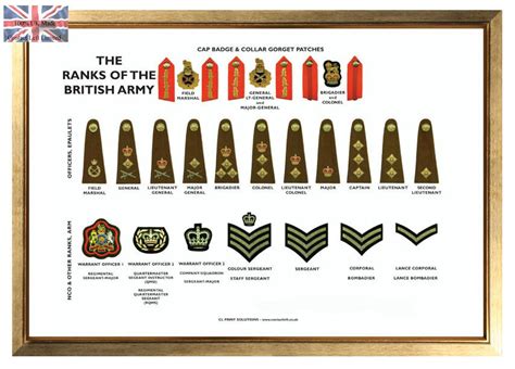 Large A3 Ranks of the British Army Poster ( Military recruit rank structure | eBay