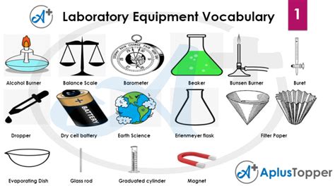 Laboratory Equipment Vocabulary | List of Lab Equipment in English with Pictures - A Plus Topper