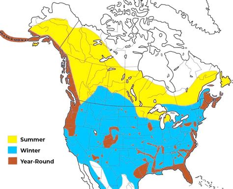 Bald Eagle Habitat World Map