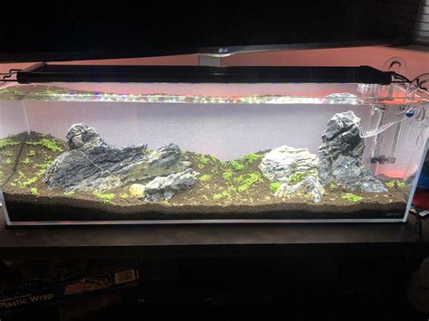 Flooded my first Iwagumi style tank yesterday. let me know thoughts? fish recommendations ...