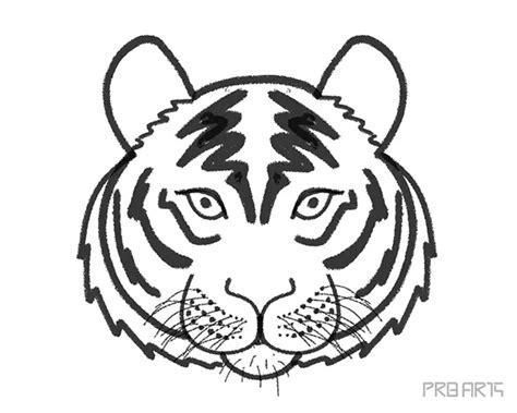 Tiger Face Sketch