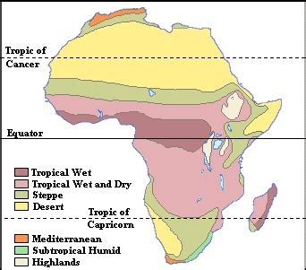 The African Grassland