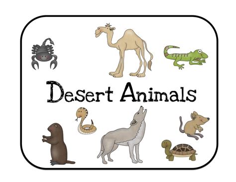 Desert Animals Printables