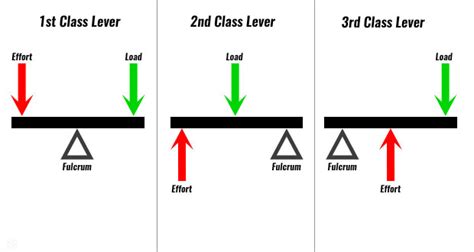 First Class Lever