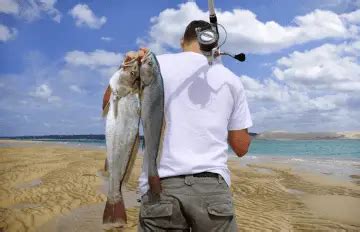 Saltwater Surf Fishing Tips (Techniques, & Tricks For Beginners)