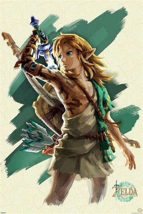 The Legend of Zelda: Tears of the Kingdom Link with Sword 24-in x 36-in Rolled Poster | GameStop