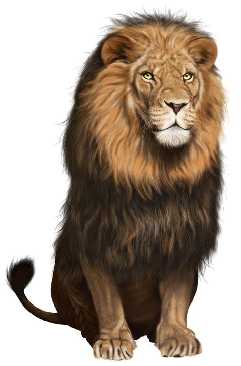 Collection of Angry Lion PNG HD. | PlusPNG