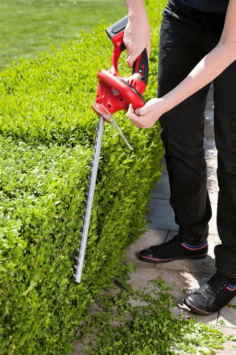 Are Battery Powered Hedge Trimmers Any Good? - The All Electric Lawn