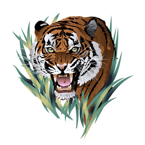 Angry Tiger Face Images