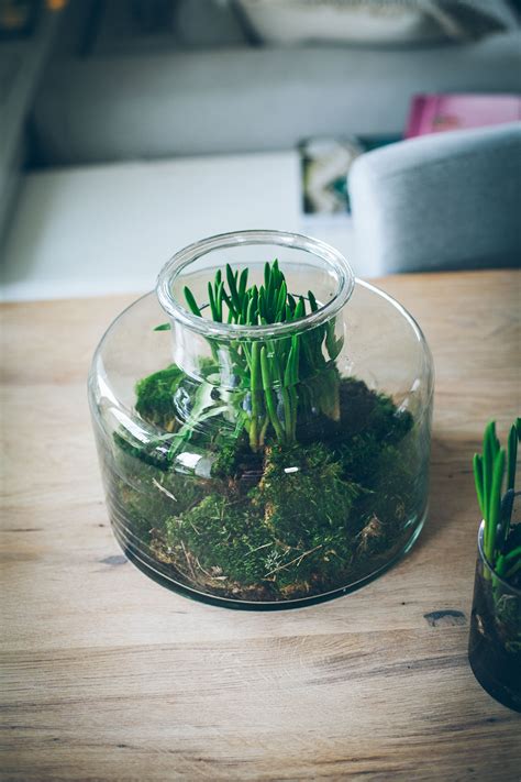 Glass jars with flowers - Lazy Sunday