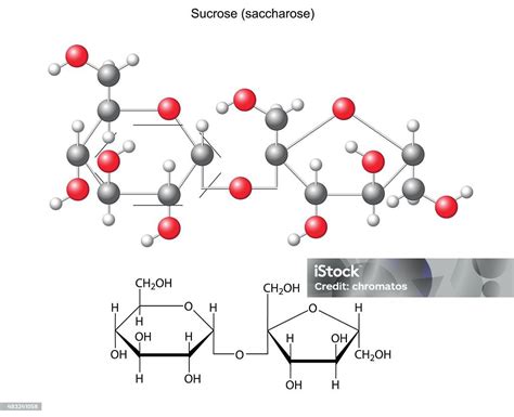Formula Kimia Struktural Dan Model Sukrosa Ilustrasi Stok - Unduh Gambar Sekarang - iStock